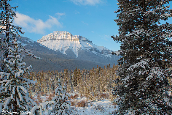Bow Valley Parkway - 2014