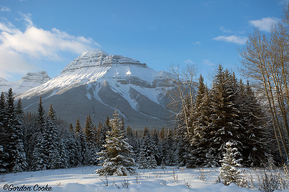 Bow Valley Parkway - 2014